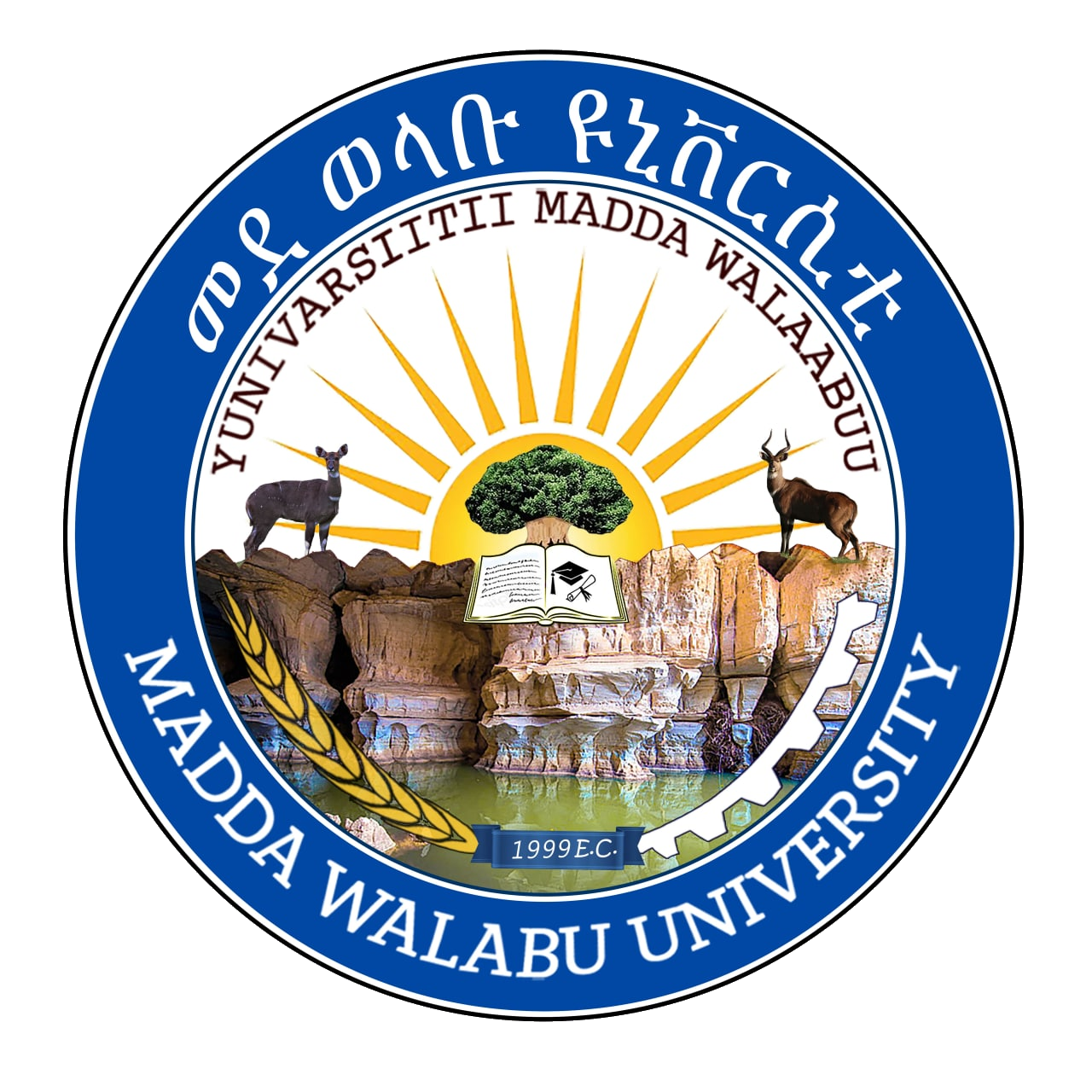 Mizan-Tepi University
