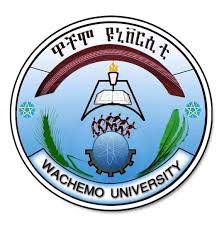 Wachemo University